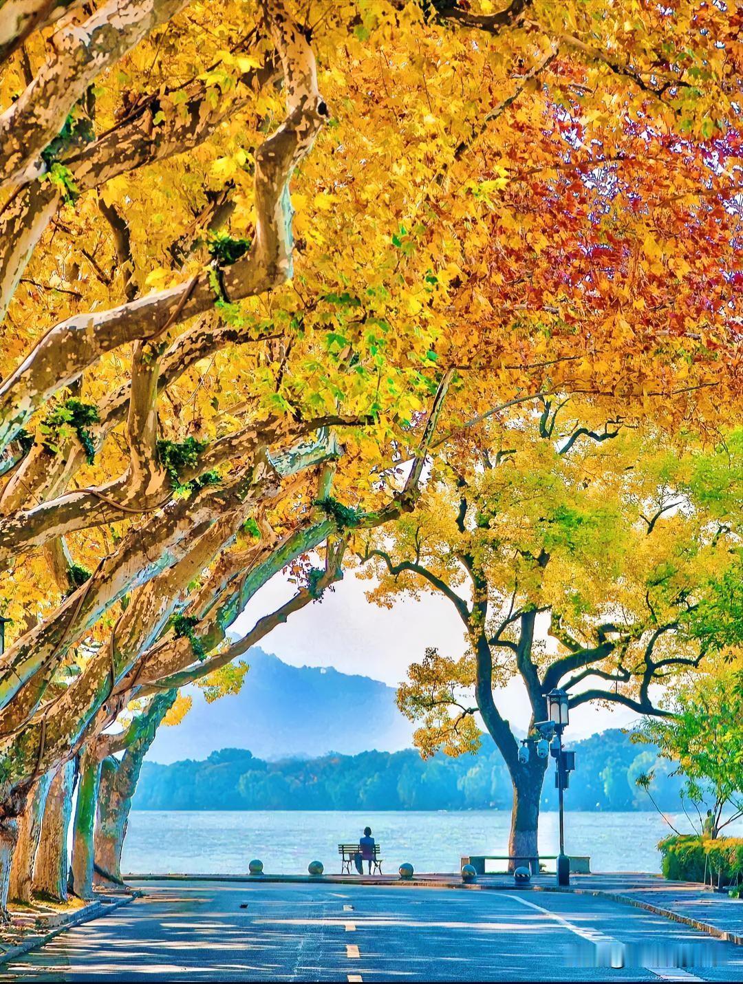 世人偏爱繁花盛景，却忽略成熟之美。繁华落尽不是落幕，是生命沉淀的好光景。“一年好