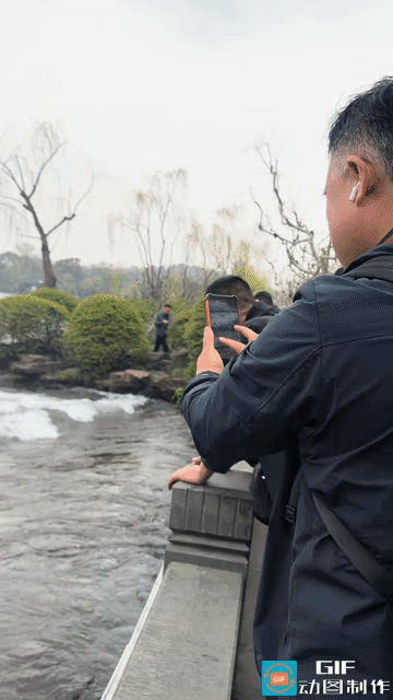 一条红鲤逆流，是自然的灵性还是人为的摆拍？评论吵疯了。

杭州一女子逛公园，遇到