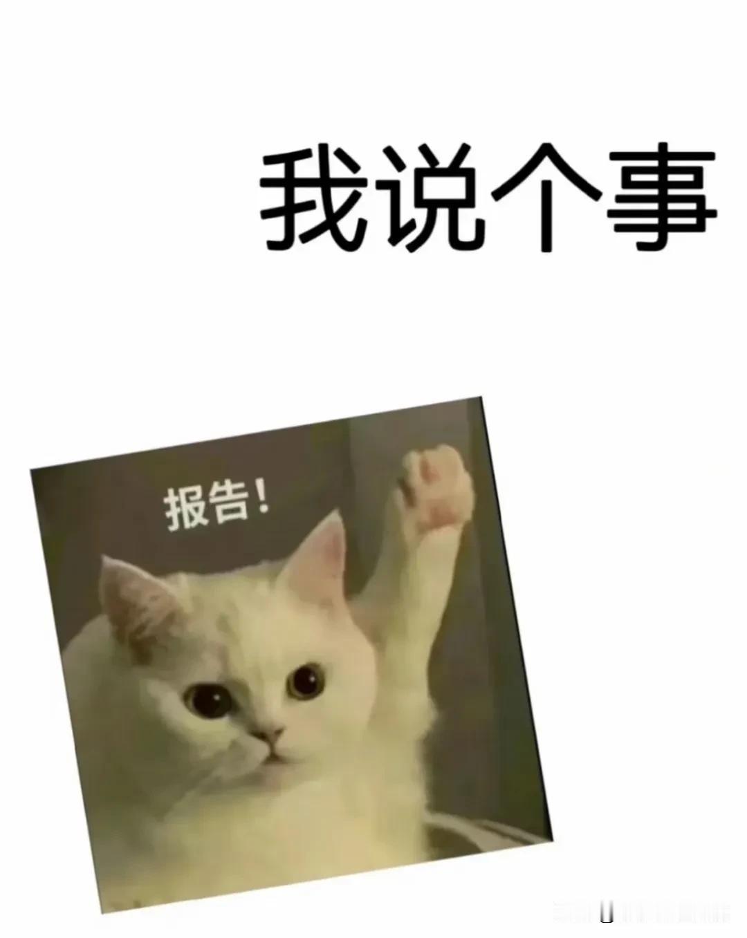 🔔高三二模考情🔔
数学全市均分87点多
物理全市均分65.25