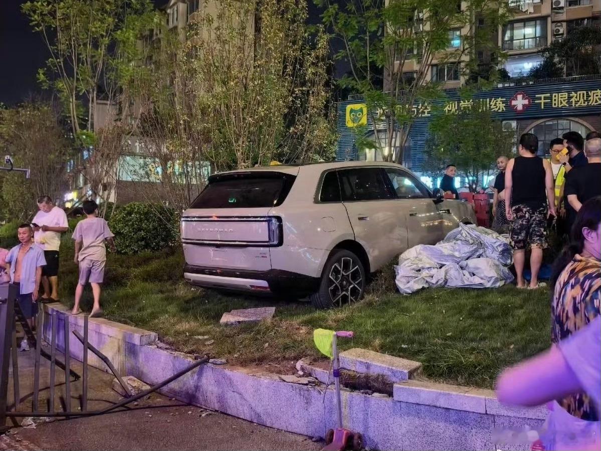 小米回应澎程试驾事故那绿化带这么老高，冲上去小米澎程N70 Max只是衣角微脏，