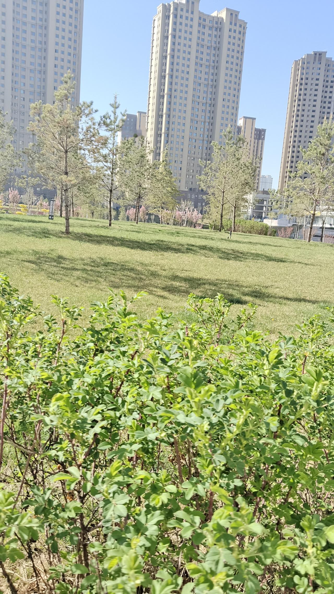 春日生活打卡季春日逛蝴蝶桥公园，一切都刚刚好……