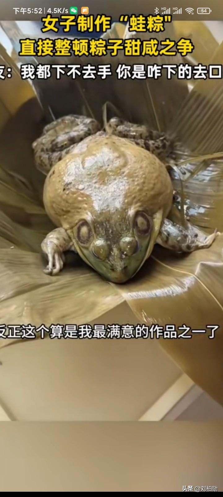 这位大姐的“蛤蟆粽”确实让人头皮发麻，堪称端午节的“黑暗料理天花板”。她直接把整