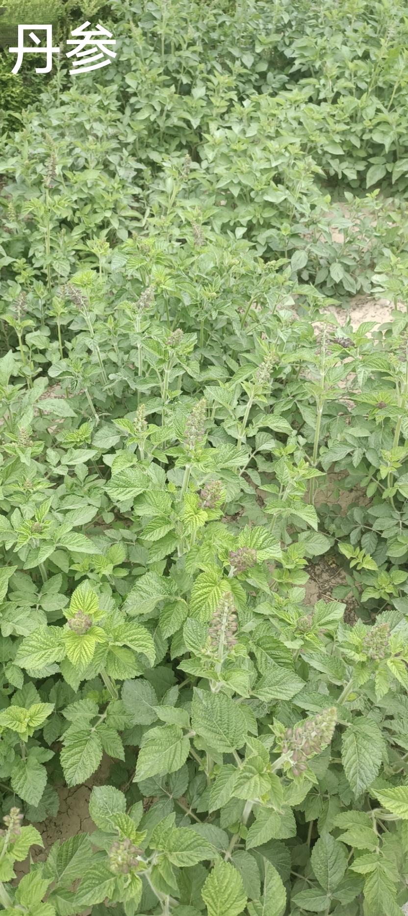 多数是“话不投机半句多”，遇上了“酒逢知己千杯少”的少。
        多数要