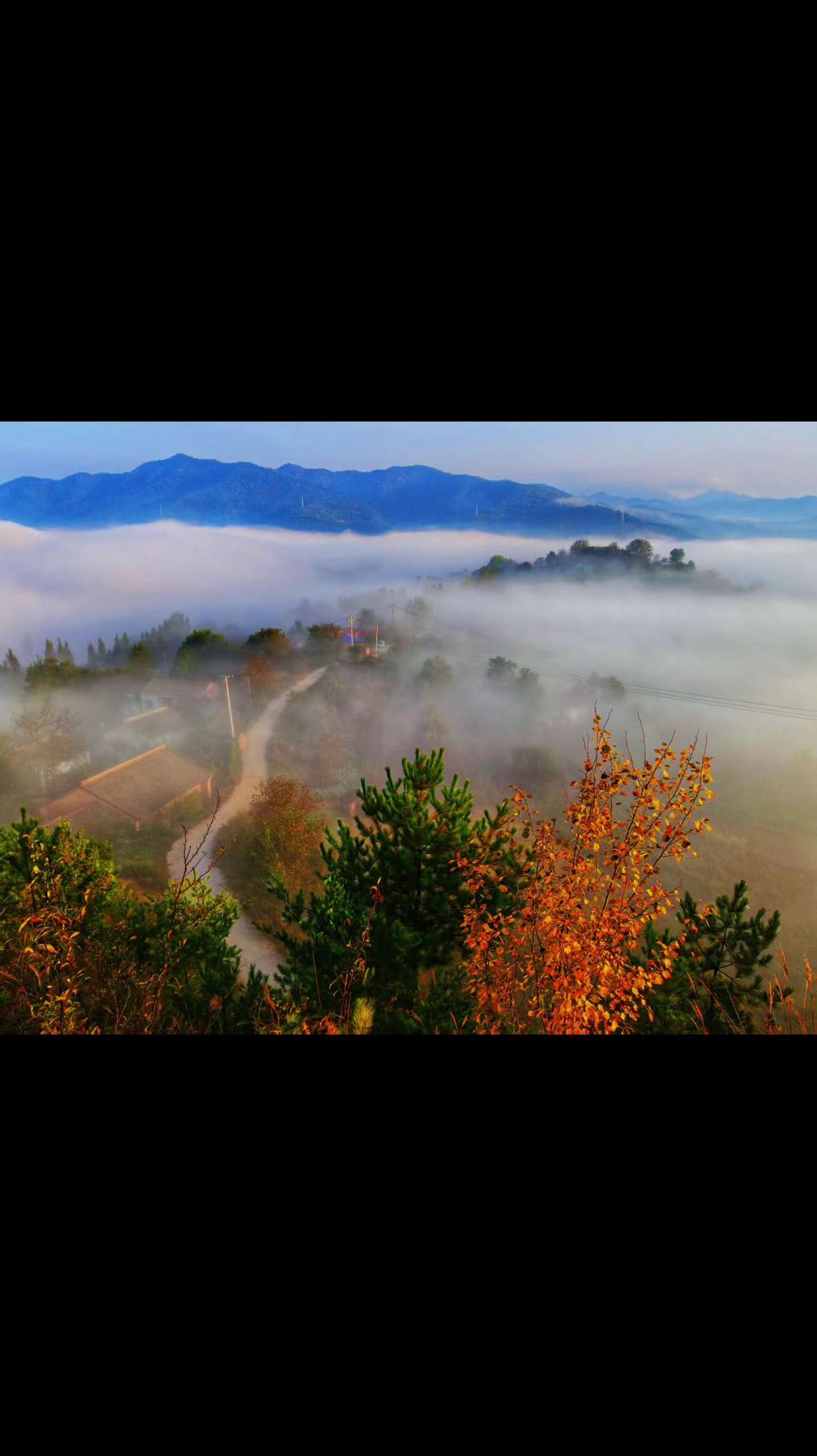 晨雾秘境 诗画风景 我用摄影看世界