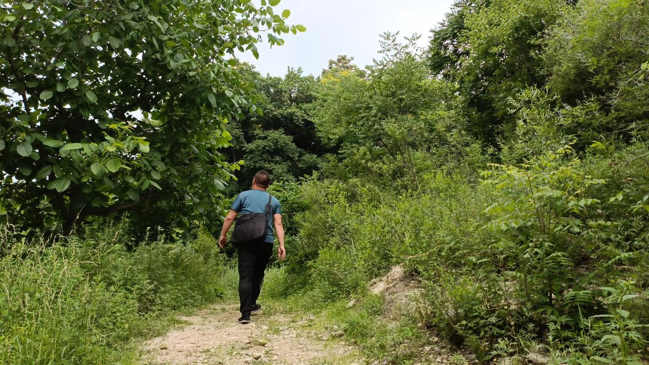 这里是河北涉县偏城镇的西沟村，古村隐匿在一条山沟尽头茂密的植被丛中。我历经半个多