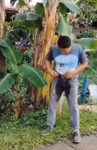 还是外国人拍的段子搞笑！
人家正在撒尿呢？
结果突然被人提上了裤子？
最后尿湿了