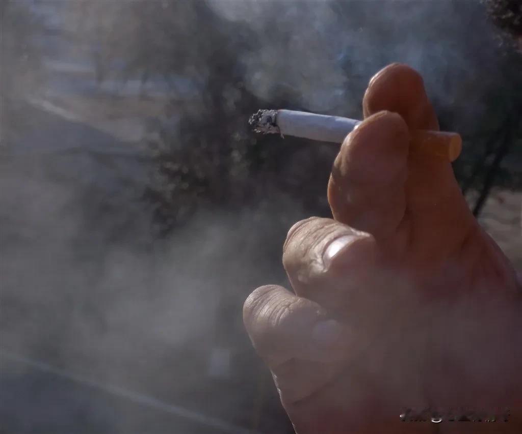 昨天晚上又和老公干了一架。
因为他抽烟，为了这件事情我们至少争吵过不下200次了