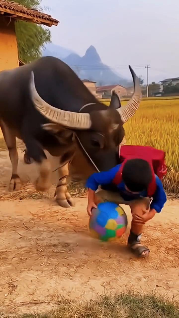 啊，啊，啊，啊，啊，啊，啊，啊，啊，啊，啊，啊，啊，啊，啊，啊。