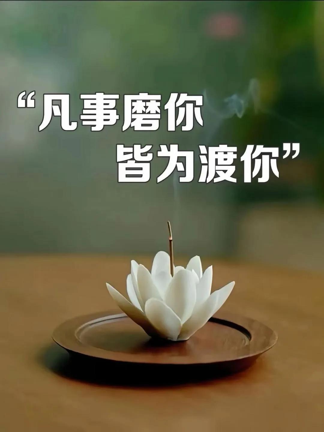 你所有的痛苦，皆因你不了解人性。不了解人性，你就仿佛是待宰的羔羊。
你在生活与工