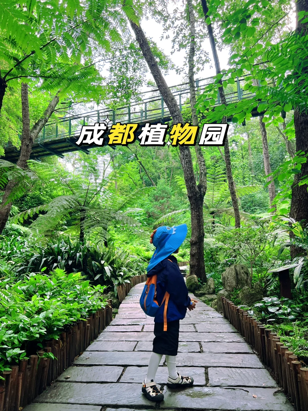 地铁直达‼️小众人少藏在市区的宝藏植物园