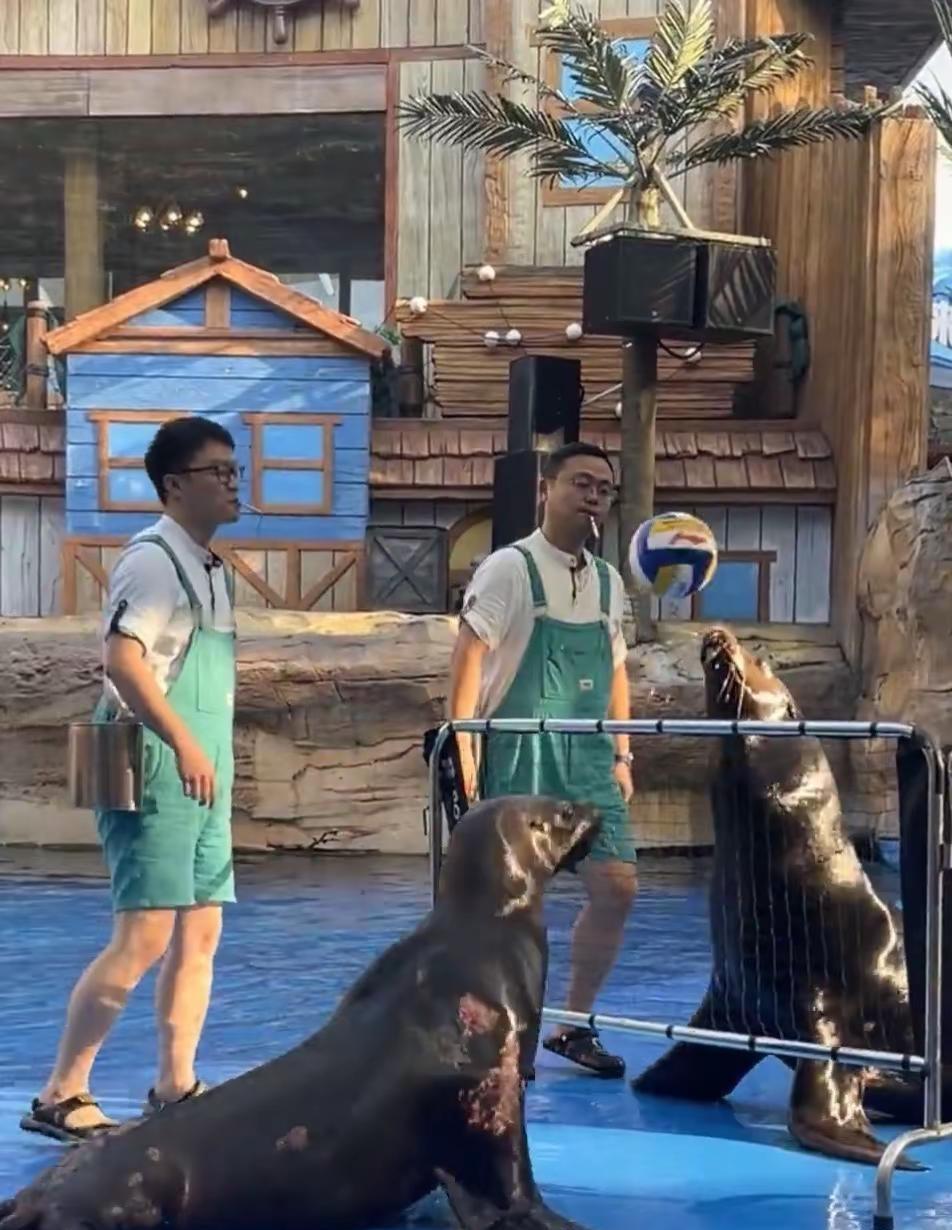 广州海洋馆 广州海洋馆游玩海底世界真奇妙 打卡拍照网红地