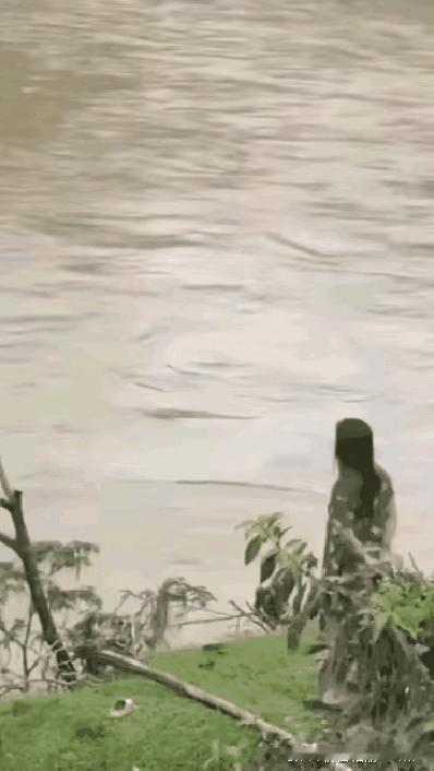 “报复”