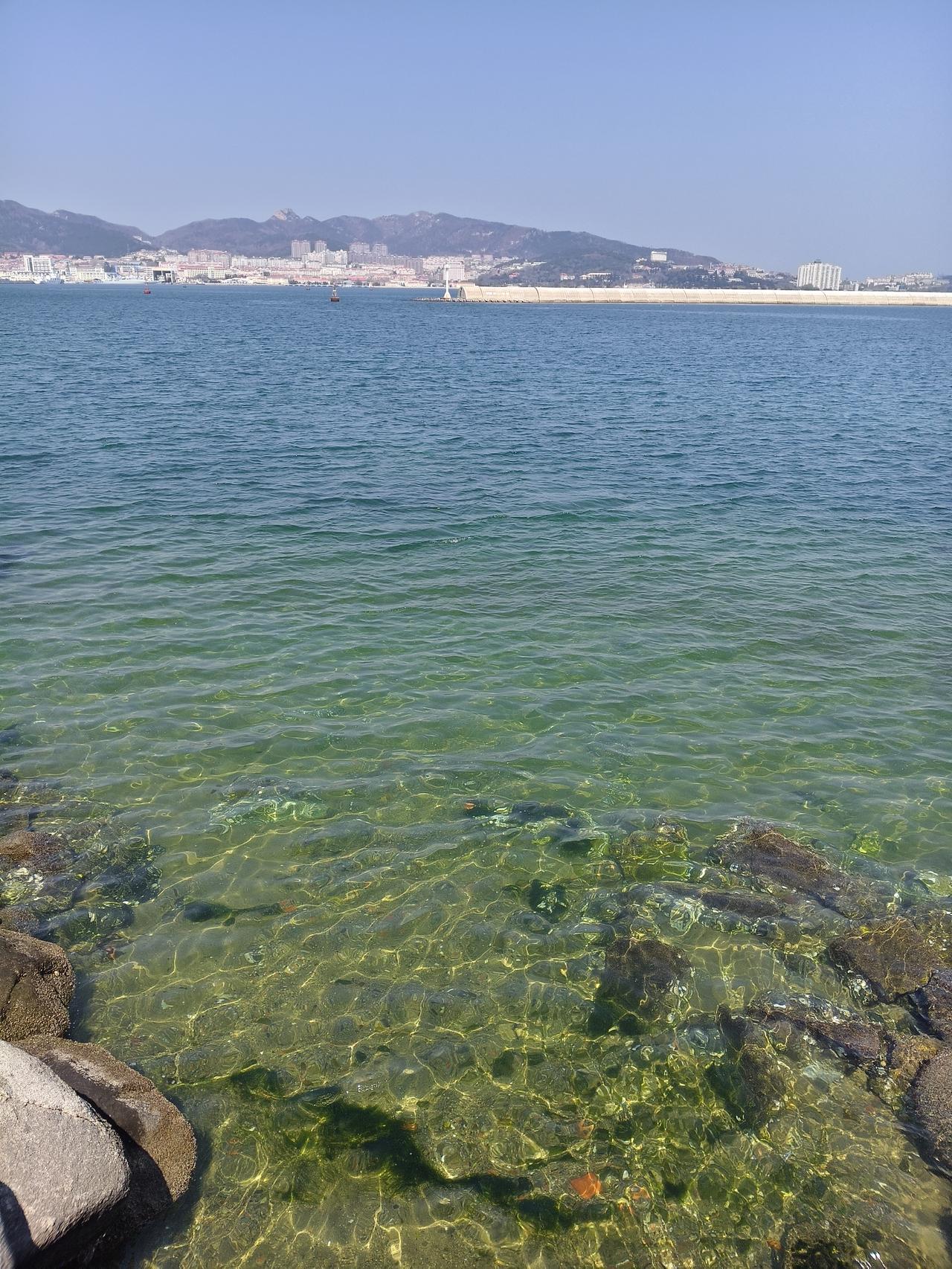 今天威海的果冻海很好看，慢跑锻炼，心旷神怡。就喜欢这样的气温，别低别高，不用吹空