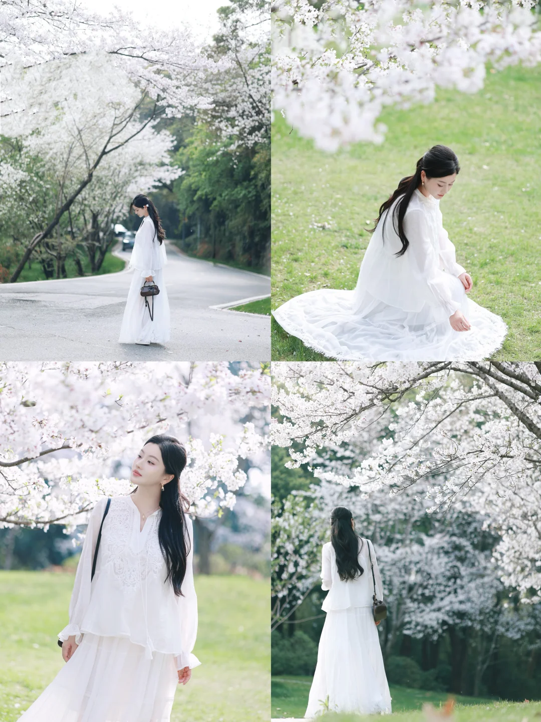 武汉赏花｜樱花树下站谁都美🌸