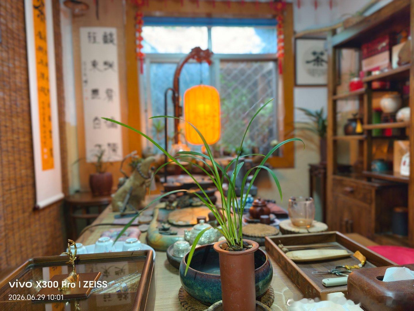 清晨的茶，喝的是对生活的温柔妥协，也是给自己的一场无声治愈。 