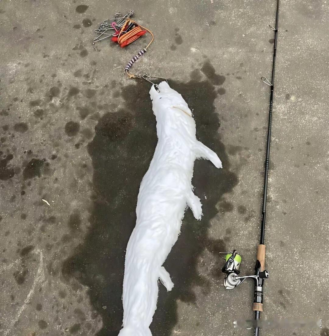 不钓了，这辈子都不钓了