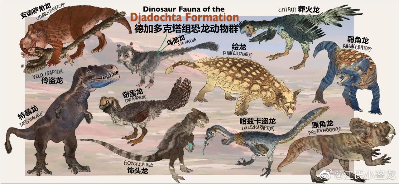 【7500万年前的恐龙世界】德加多克塔组恐龙动物群
       位于今天蒙古国