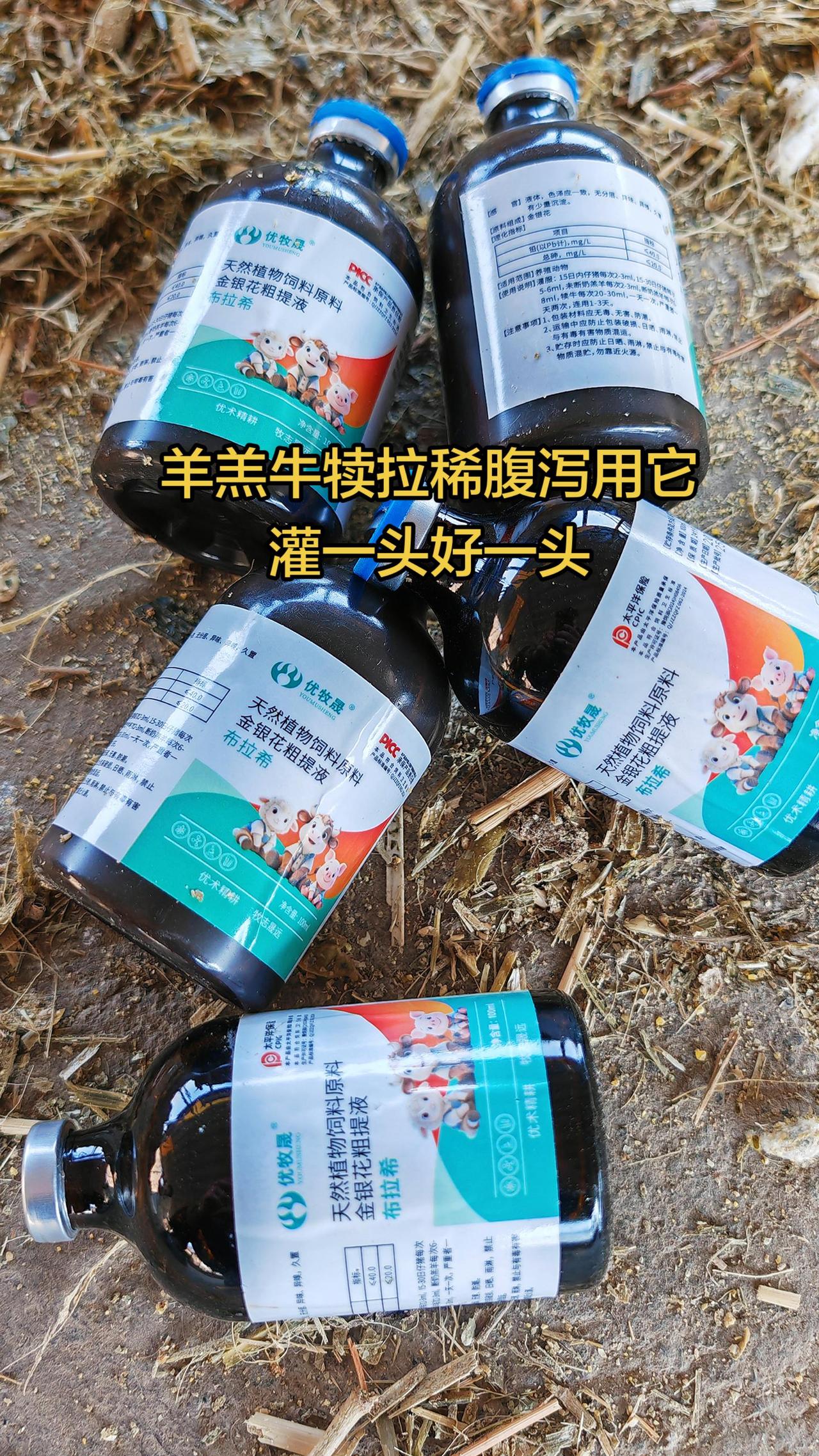 养羊人牛羊拉稀腹泻  农村养羊 牛羊养殖