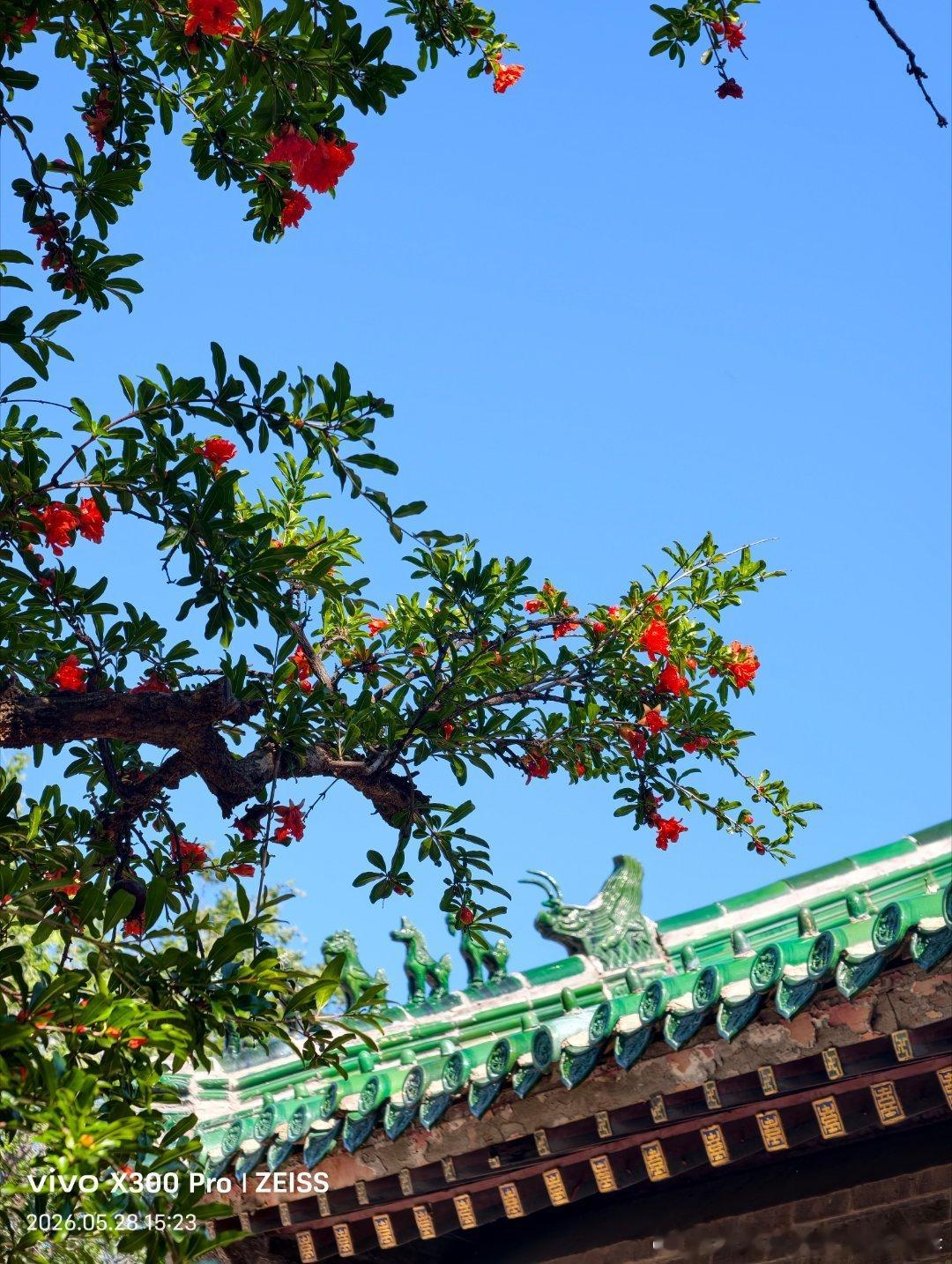 Never doubt your potential.永远不要怀疑自己的潜力。 