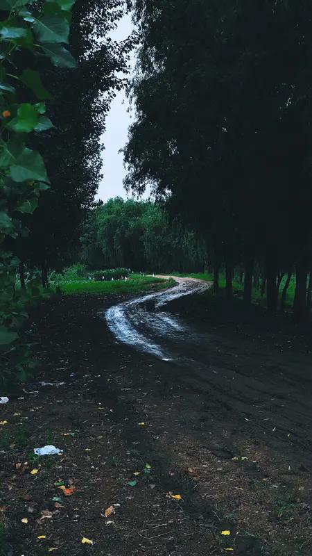 这首《七绝•郊野新晴》简直把雨后郊野之美写到我的心坎里了。“雨过郊原草木芳”，一