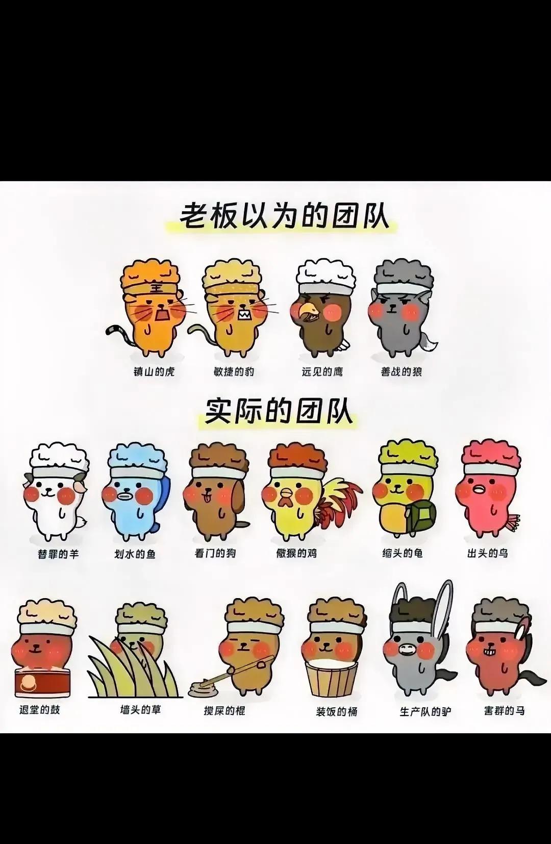 人才啊人才
害群的马，缩头的龟，退堂的鼓，划水的鱼…这些才是团队里的“中坚力量”