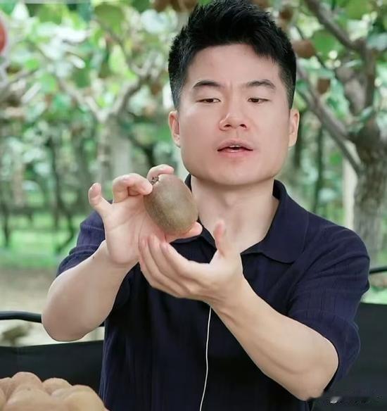 小果不合格？可它也有心眼儿。
眉县果园里，
嘉宾老师说这种小猕猴桃熟是熟了，规格