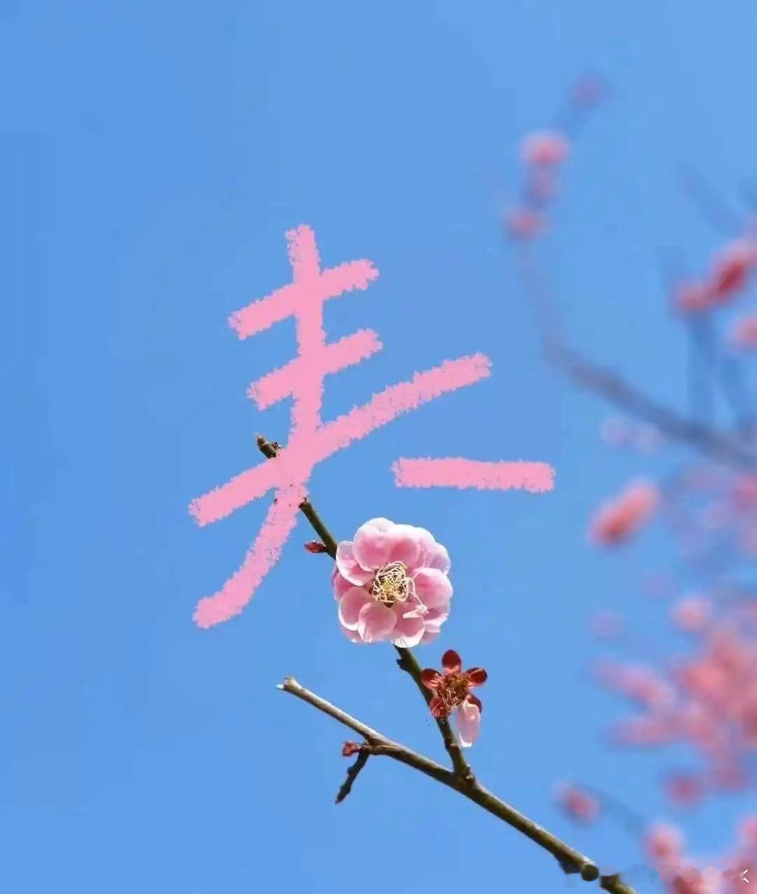 春游秋游，皆为自由。 