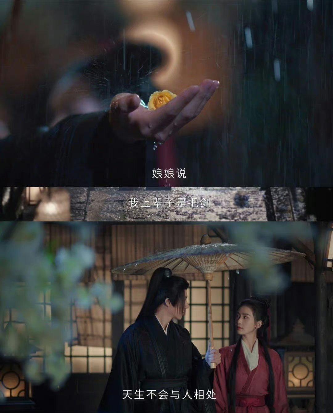 #任如意上一世 龙葵# 任如意说上一世是把剑，那不就是龙葵吗！！我的小破葵啊[泪