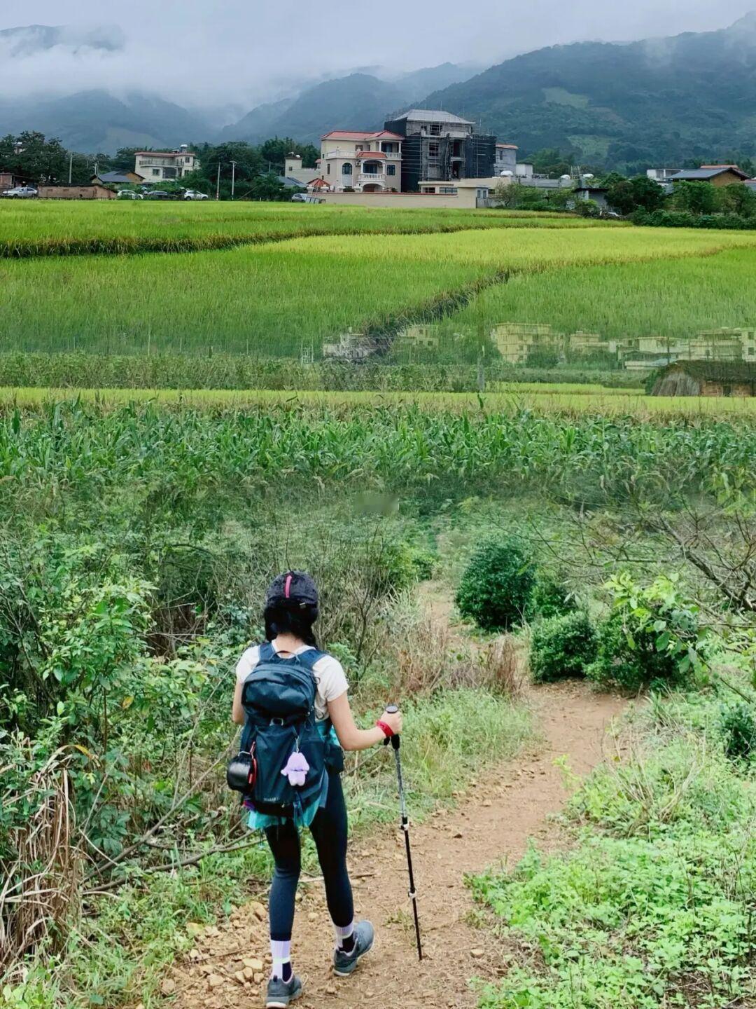 广州从化的山竟然这么美⛰️桂峰山徒步看柿子
