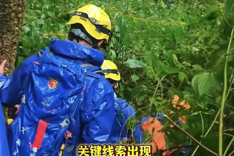 关键线索出现！
搜救队在苍山小岑峰附近区域，通过热成像发现两次可疑热源，并听到疑