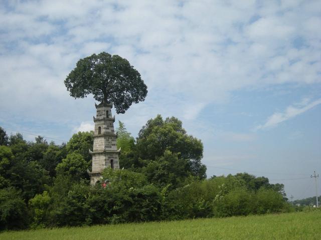 湖南长沙望城区惜字塔位于茶亭镇的九峰山村，建于道光十八年（1838年），是专门用