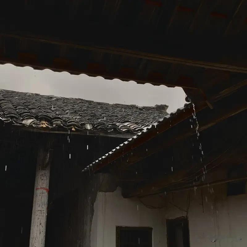 《喜雨》乐韵诗心原创诗词:
一春干旱青禾蔫，
久盼甘霖润良田。
夜里忽来及时雨，