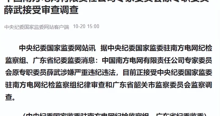 涉嫌严重违纪违法，中国南方电网有限责任公司专家委员会原专职委员薛武接受纪律审查和监察调查