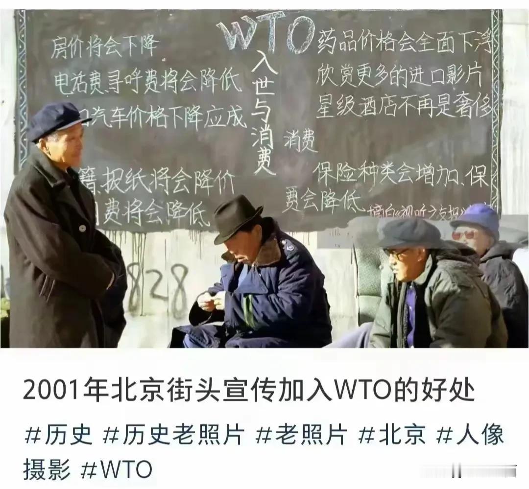 2001 年加入 WTO 的好处实现了吗？
到底谁实现了好处？