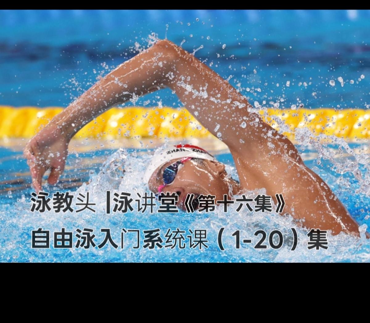 泳教头 | 泳讲堂：第16集 移臂别甩肩，肩痛说再见
 
很多泳友游自由泳越游越