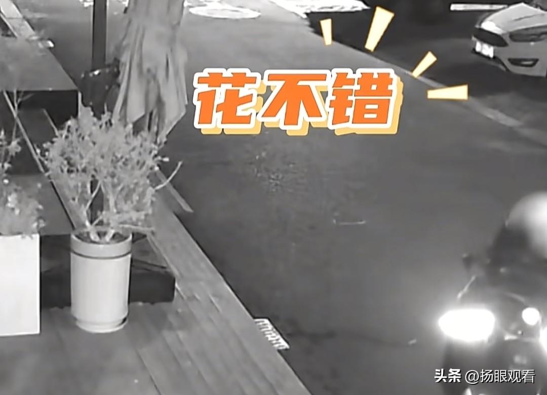 七旬保安偷蜡梅，5小时光速落网😂真的要被笑晕又无语住！
近日，扬州邗江区发生一