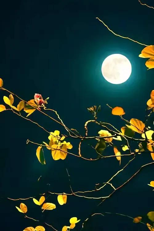 上联：明朗月色窗前光；
下联：？？？