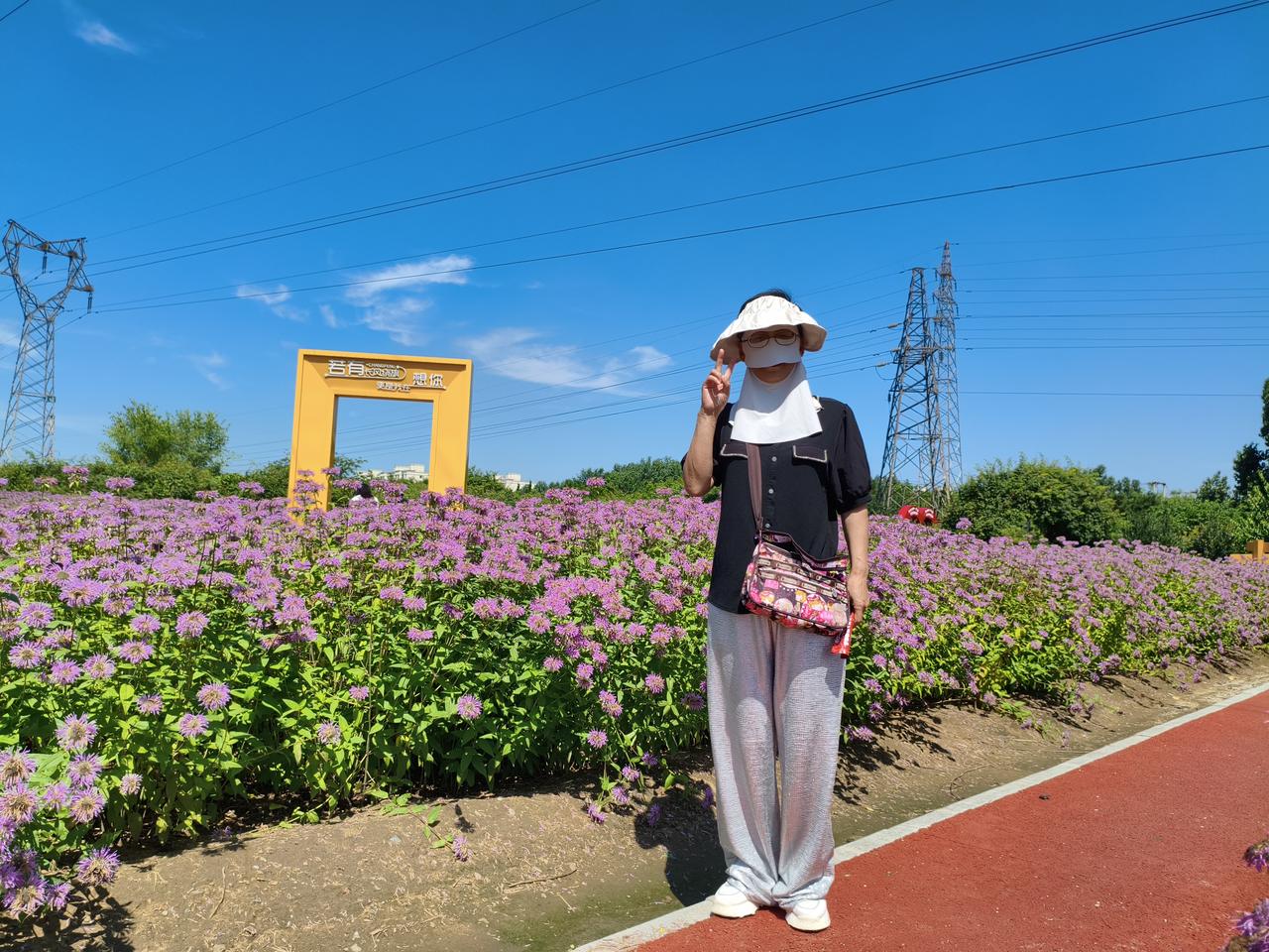 夏日生活打卡季