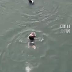 “眼泪止不住了！”四川，为救落水女子，60岁大爷从36米高的桥上跳下！不料，女子
