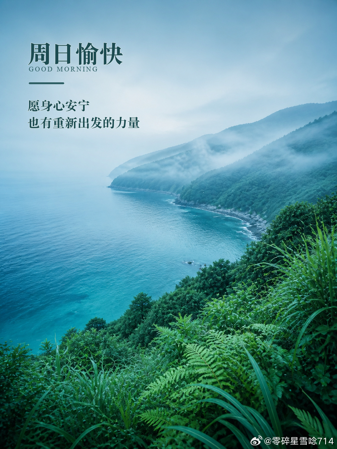 没有一种情绪会永远停留，肯向前看，天光总会重新落进眼里。 愿你告别不必要的疲惫，