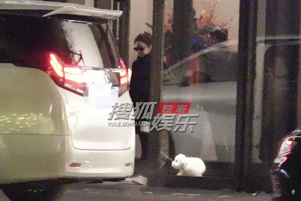 12月3日，刘亦菲38岁至今未婚，娱记拍到她晚上一身黑带着大墨镜，抱狗出门！
虽