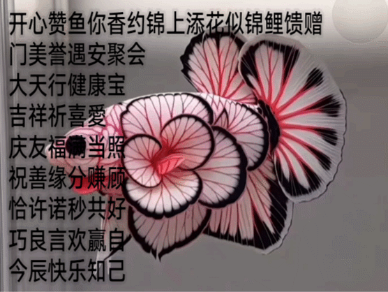 开心赞鱼你香约
喜愛照顾好自己
锦上添花似锦鲤馈赠诚邀下联
满分秒共赢美誉健喜