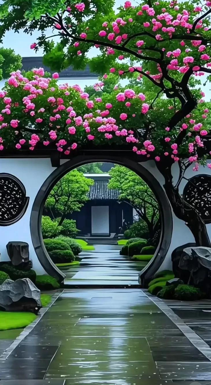 粉色的花海与古风庭院，静谧而美丽。绝美的花与湖。 观花风景