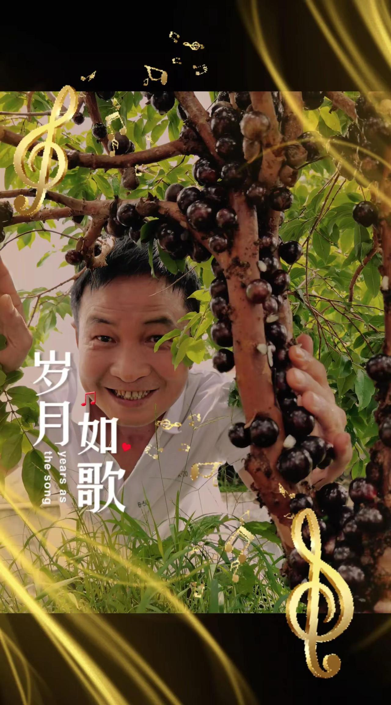 说的很对