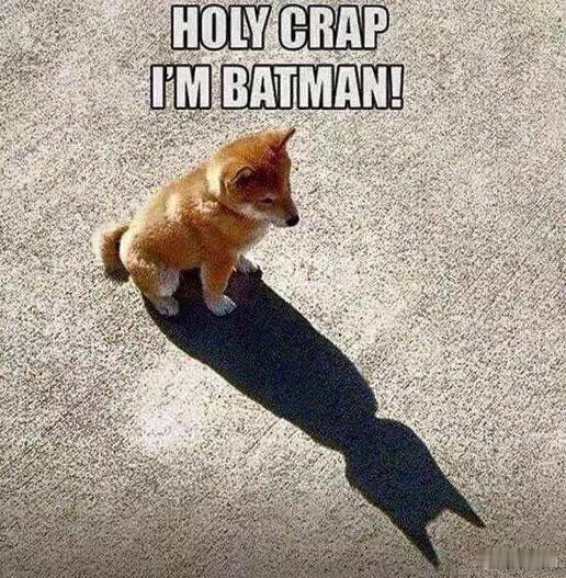 一大早看到一堆人在发舒马赫的假新闻，然后这些人还在rip，还在感慨自己有多么喜欢