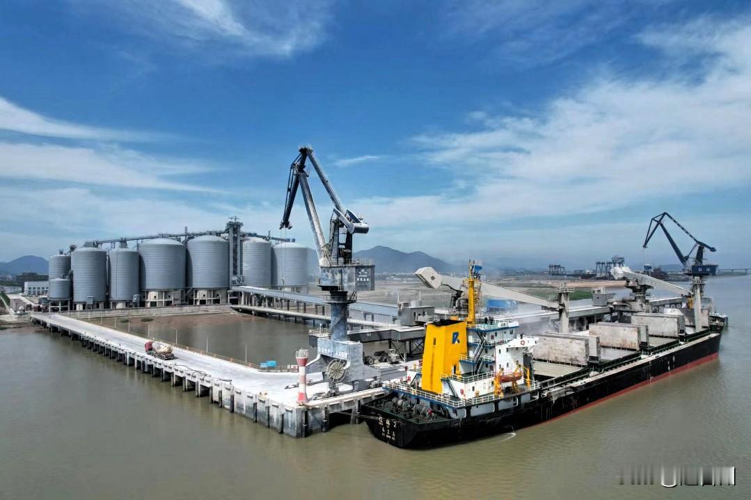 狂飙43.8%！健跳港区一季度吞吐量破350万吨，台州第一

2026年一季度，