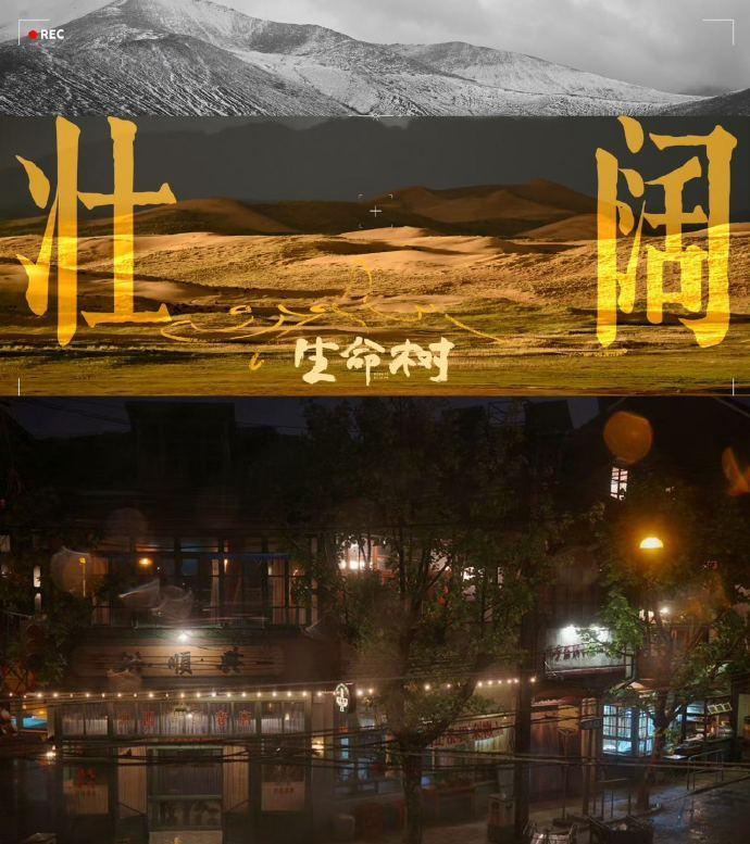 生命树和繁花是同一时代 懵了！原来《生命树》和《繁花》是90年代同故事！多杰高原