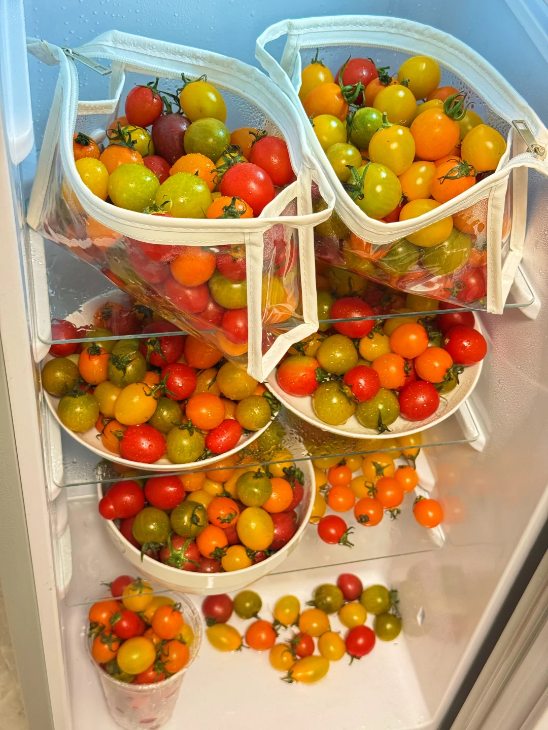 不要小瞧了9块9，我可以让你吃到这么多颜色！