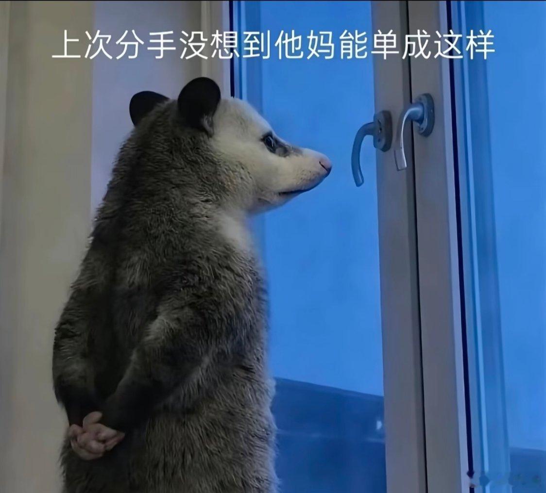 七夕 去情人节化又双叒叕是单身的一年