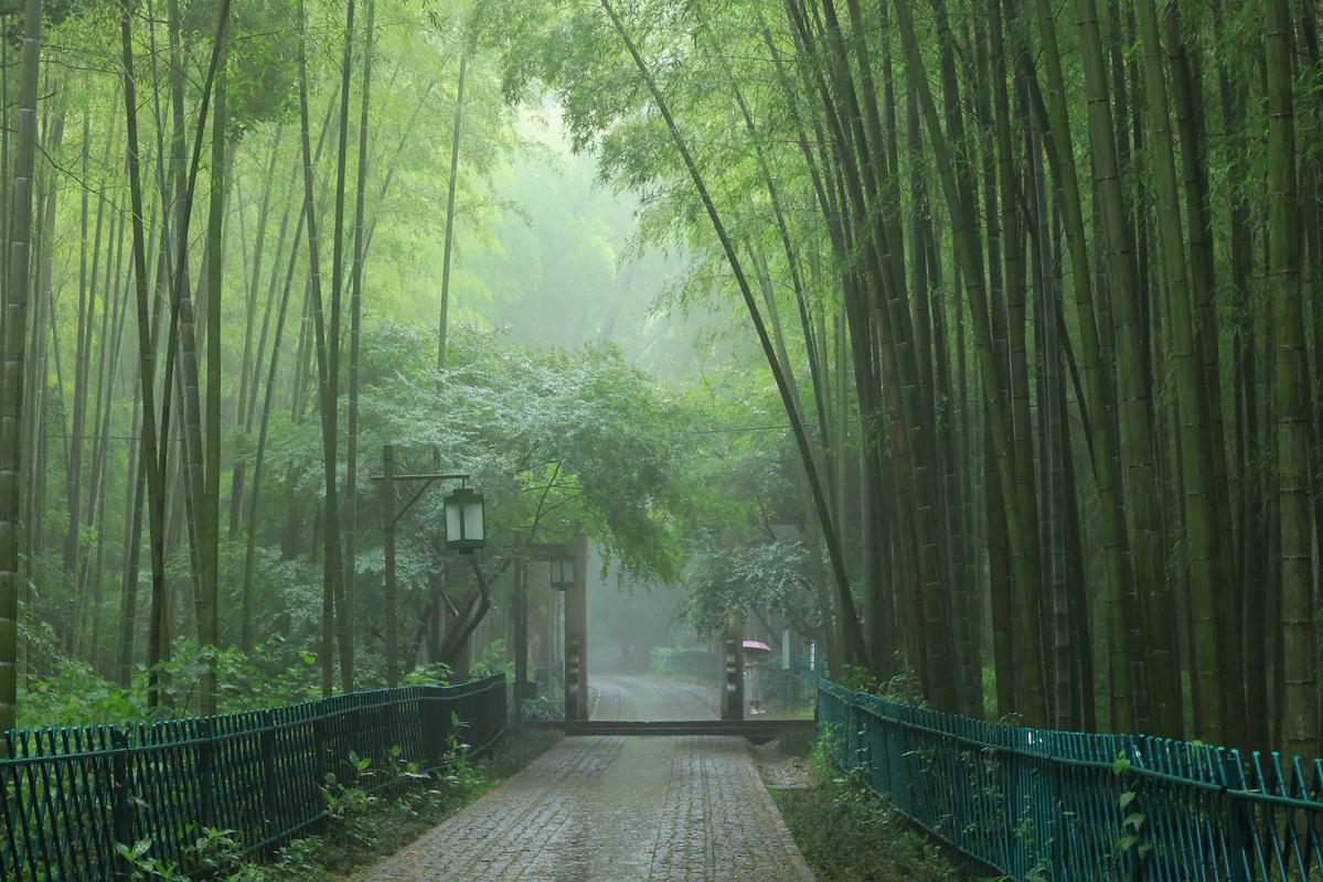 上联：风起风急风未语，
下联：雨来雨骤雨有声。